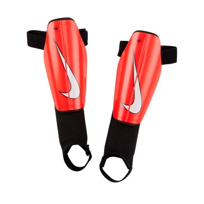 Parastinchi Charge Guard