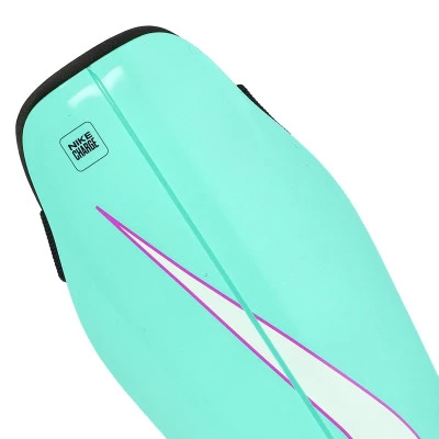 Parastinchi Charge Guard