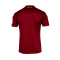 Maglietta Joma Torino Prima Divisa 2023-2024