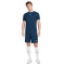 Pantaloncini Nike Dri-Fit Academy