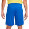 Pantaloncini Nike Brasile Home Kit Coppa America 2024