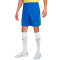 Pantaloncini Nike Brasile Home Kit Coppa America 2024