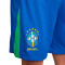 Pantaloncini Nike Brasile Home Kit Coppa America 2024