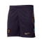 Pantaloncini Nike Inghilterra seconda divisa Euro 2024