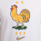 Maglietta Nike Francia Fanswear Euro 2024