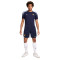 Maglietta Nike Francia Training Euro 2024