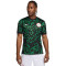 Maglia Nike Nigeria Away