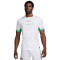 Maglia Nike Nigeria Home
