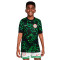 Maglia Nike Nigeria Away da Bambino