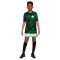 Maglia Nike Nigeria Away da Bambino