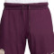 Pantaloncini Nike PSG Training 2024-2025