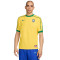 Maglia Nike Brasile Edizione speciale Coppa America 2024
