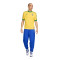Maglia Nike Brasile Edizione speciale Coppa America 2024