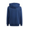 Felpa adidas Graphics Bambino