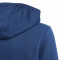 Felpa adidas Graphics Bambino