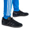 Pantaloni  adidas Adicolor