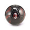 Pallone Puma AC Milan 2024-2025