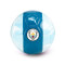 Pallone Puma Manchester City 2024-2025