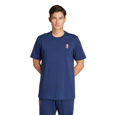 Maglietta Juventus Fanswear 2023-2024