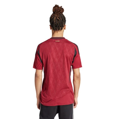 Maglia Belgio Home Kit Euro 2024