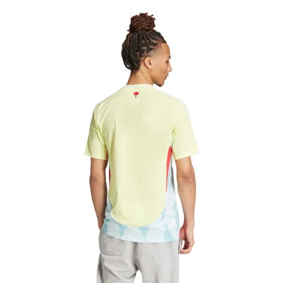 Maglia Spagna Away Euro 2024