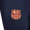 Pantaloni  Nike FC Barcelona Training 2023-2024