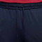 Pantaloni  Nike FC Barcelona Training 2023-2024