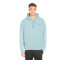Felpa Puma Essentials + 2 Small Logo