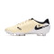 Scarpe Nike Tiempo Legend 10 Academy FG/MG