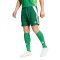 Pantaloncini adidas Tiro 24