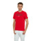 Maglia Nike Polonia Fanswear Euro 2024