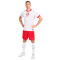 Maglietta Nike Polonia Home Kit Euro 2024