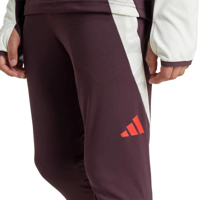 Pantaloni FC Bayern Training 2024-2025 per Bambini