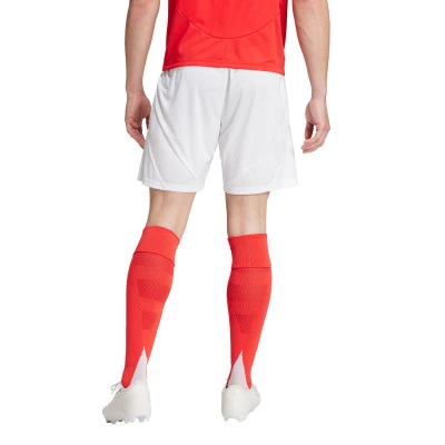 Pantaloncini SLB Benfica Home 2024-2025