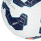 Pallone Nike Academy