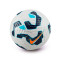 Pallone Nike Academy Plus
