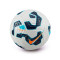 Pallone Nike Academy Plus