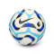 Pallone Nike Premier League 2024-2025 Pitch