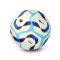 Pallone Nike Premier League 2024-2025 Pitch