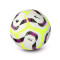 Pallone Nike Premier League 2024-2025 Academy