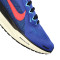 Scarpe Nike Air Zoom Pegasus 41