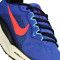Scarpe Nike Air Zoom Pegasus 41