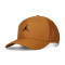 Cappello Jordan Rise