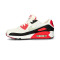 Scarpe Nike Air Max 90 da Donna
