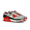 Scarpe Nike Air Max 90