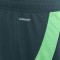 Pantaloncini adidas Algeria Away Coppa Africa 2024