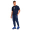 Maglietta Nike Chelsea FC Fanswear 2024-2025