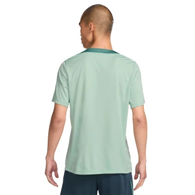 Maglia Tottenham Hotspur FC Training 2024-2025