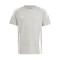 Maglia adidas Tiro 24 Cotton Mujer