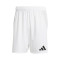 Pantaloncini adidas Tiro 24 Competition Match